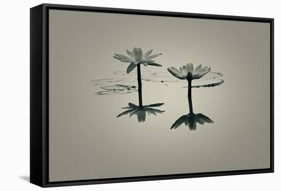 A New Dawn-Valda Bailey-Framed Stretched Canvas