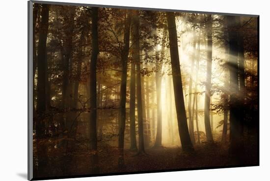 a new day-Norbert Maier-Mounted Photographic Print
