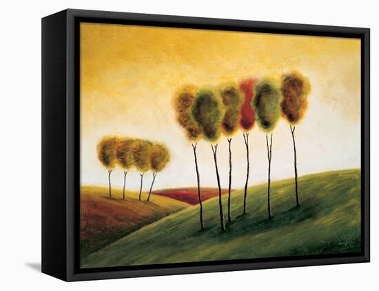 A New Morning II-Mike Klung-Framed Stretched Canvas