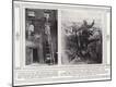 Photographic Print
