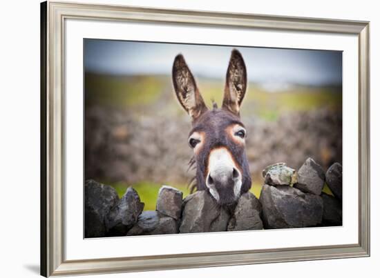 A Nice Donkey under the Rain . Aran Islands, Ireland.-Luca Fabbian-Framed Photographic Print