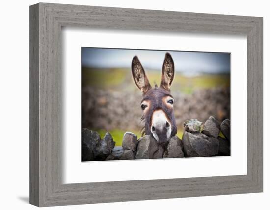 A Nice Donkey under the Rain . Aran Islands, Ireland.-Luca Fabbian-Framed Photographic Print