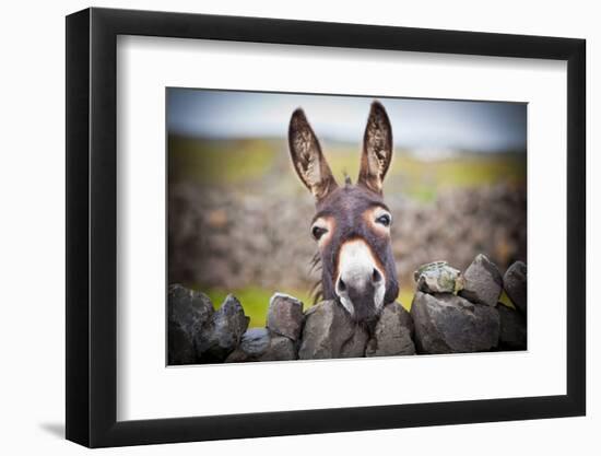 A Nice Donkey under the Rain . Aran Islands, Ireland.-Luca Fabbian-Framed Photographic Print