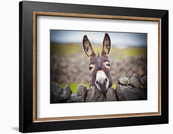 A Nice Donkey under the Rain . Aran Islands, Ireland.-Luca Fabbian-Framed Photographic Print