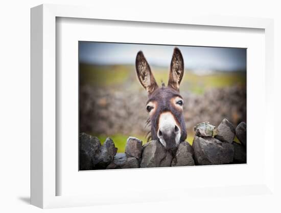 A Nice Donkey under the Rain . Aran Islands, Ireland.-Luca Fabbian-Framed Photographic Print