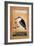 A Night Heron-null-Framed Giclee Print