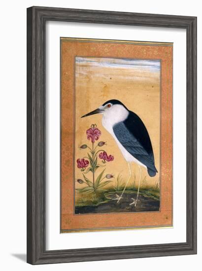 A Night Heron-null-Framed Giclee Print