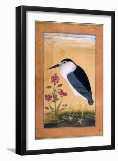 A Night Heron-null-Framed Giclee Print