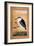 A Night Heron-null-Framed Giclee Print