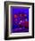 A Night Under The Stars-Cindy Thornton-Framed Art Print