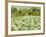 A Normandy Farmhouse-George Hitchcock-Framed Giclee Print