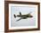 A North American B-25 Mitchell in Flight-Stocktrek Images-Framed Photographic Print