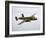 A North American B-25 Mitchell in Flight-Stocktrek Images-Framed Photographic Print