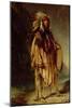 A North American Indian in an Extensive Landscape, 1842-William John Huggins-Mounted Giclee Print