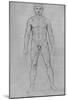 'A Nude Man seen from the Front', c1480 (1945)-Leonardo Da Vinci-Mounted Giclee Print