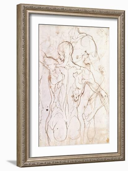 A Nude Seen from Behind, Looking to the Left, and Other Studies of His Left Shoulder and Right Leg-Perino Del Vaga-Framed Giclee Print