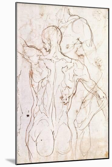 A Nude Seen from Behind, Looking to the Left, and Other Studies of His Left Shoulder and Right Leg-Perino Del Vaga-Mounted Giclee Print
