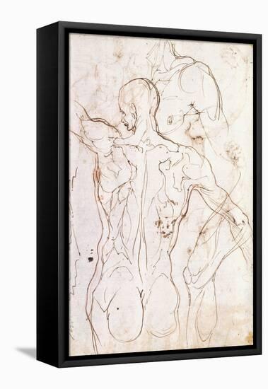 A Nude Seen from Behind, Looking to the Left, and Other Studies of His Left Shoulder and Right Leg-Perino Del Vaga-Framed Premier Image Canvas