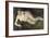 A Nymph by a Stream, 1869-1870-Pierre-Auguste Renoir-Framed Giclee Print