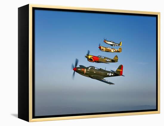 A P-36 Kingcobra, Two Curtiss P-40N Warhawks, and a P-51D Mustang in Flight-Stocktrek Images-Framed Premier Image Canvas