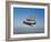 A P-36 Kingcobra, Two Curtiss P-40N Warhawks, and a P-51D Mustang in Flight-Stocktrek Images-Framed Photographic Print