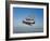 A P-36 Kingcobra, Two Curtiss P-40N Warhawks, and a P-51D Mustang in Flight-Stocktrek Images-Framed Photographic Print