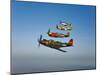 A P-36 Kingcobra, Two Curtiss P-40N Warhawks, and a P-51D Mustang in Flight-Stocktrek Images-Mounted Photographic Print