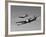 A P-38 Lightning and P-51D Mustang in Flight-Stocktrek Images-Framed Photographic Print