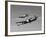 A P-38 Lightning and P-51D Mustang in Flight-Stocktrek Images-Framed Photographic Print