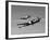 A P-38 Lightning and P-51D Mustang in Flight-Stocktrek Images-Framed Photographic Print