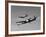 A P-38 Lightning and P-51D Mustang in Flight-Stocktrek Images-Framed Photographic Print