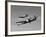 A P-38 Lightning and P-51D Mustang in Flight-Stocktrek Images-Framed Photographic Print