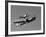 A P-38 Lightning and P-51D Mustang in Flight-Stocktrek Images-Framed Photographic Print