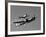 A P-38 Lightning and P-51D Mustang in Flight-Stocktrek Images-Framed Photographic Print