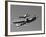 A P-38 Lightning and P-51D Mustang in Flight-Stocktrek Images-Framed Photographic Print