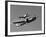 A P-38 Lightning and P-51D Mustang in Flight-Stocktrek Images-Framed Photographic Print