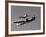 A P-38 Lightning and P-51D Mustang in Flight-Stocktrek Images-Framed Photographic Print