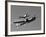 A P-38 Lightning and P-51D Mustang in Flight-Stocktrek Images-Framed Photographic Print