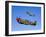 A P-40E Warhawk and a P-51D Mustang Kimberly Kaye in Flight-Stocktrek Images-Framed Photographic Print