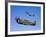 A P-40E Warhawk and a P-51D Mustang Kimberly Kaye in Flight-Stocktrek Images-Framed Photographic Print