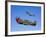 A P-40E Warhawk and a P-51D Mustang Kimberly Kaye in Flight-Stocktrek Images-Framed Photographic Print