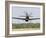 A P-51 Mustang Flies by at East Troy, Wisconsin-Stocktrek Images-Framed Photographic Print