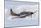 A P-51 Mustang Flies by at Vacaville, California-Stocktrek Images-Mounted Photographic Print