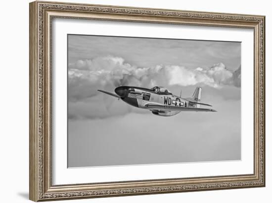 A P-51D Mustang in Flight Near Hollister, California--Framed Photographic Print