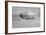 A P-51D Mustang in Flight Near Hollister, California-null-Framed Photographic Print