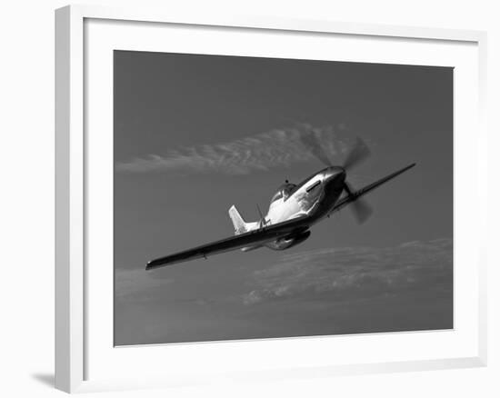 A P-51D Mustang in Flight-Stocktrek Images-Framed Photographic Print