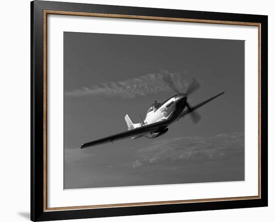 A P-51D Mustang in Flight-Stocktrek Images-Framed Photographic Print