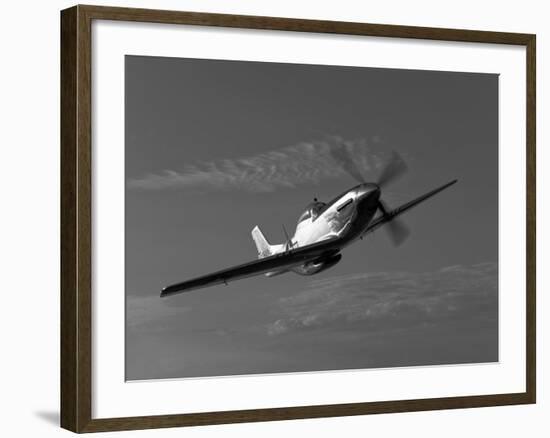 A P-51D Mustang in Flight-Stocktrek Images-Framed Photographic Print