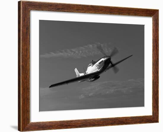 A P-51D Mustang in Flight-Stocktrek Images-Framed Photographic Print