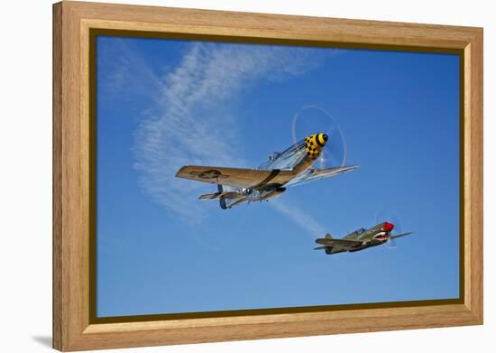 A P-51D Mustang Kimberly Kaye and a P-40E Warhawk in Flight-null-Framed Premier Image Canvas